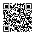 To view this 2012 Ford Flex Belair MD from D & D Motors | Used Buy Here Pay Here Cars MD, please scan this QR code with your smartphone or tablet to view the mobile version of this page.