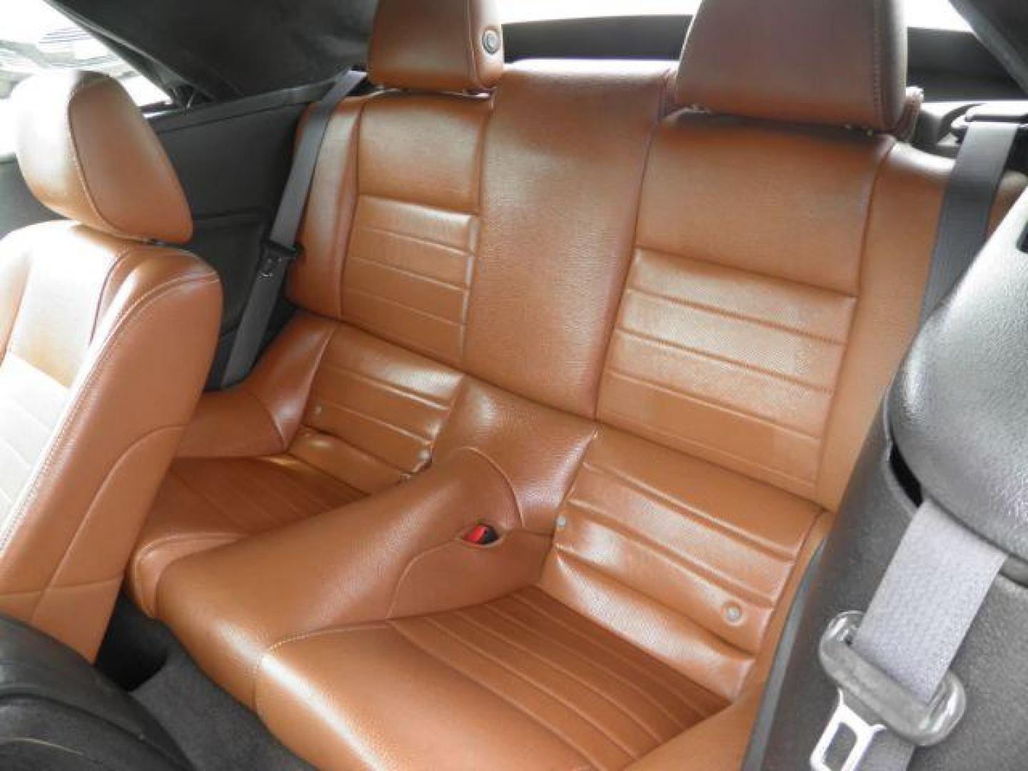 2011 WHITE Ford Mustang V6 Premium (1ZVBP8EM6B5) with an 3.7L V6 engine, located at 19521 New George's Creek Rd SW, Barton, MD, 21521, (301) 463-2404, 39.524323, -79.017906 - Photo#3